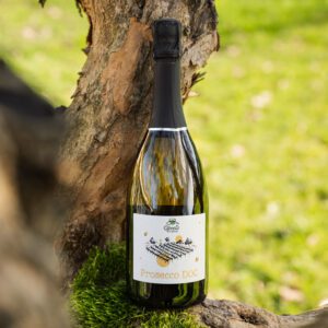 vino prosecco doc